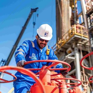 Sedimentary Basin Analysis