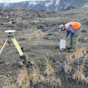 Gravity and Magnetic Surveys