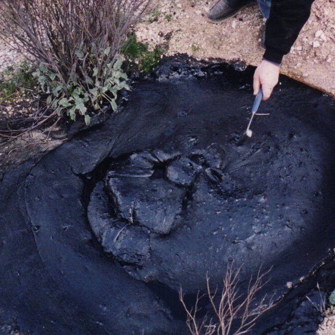 Oil and Gas Seeps Analysis