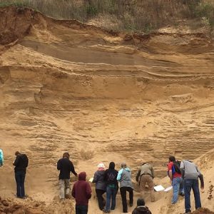 Stratigraphy and Reservoir Rock Characteristics